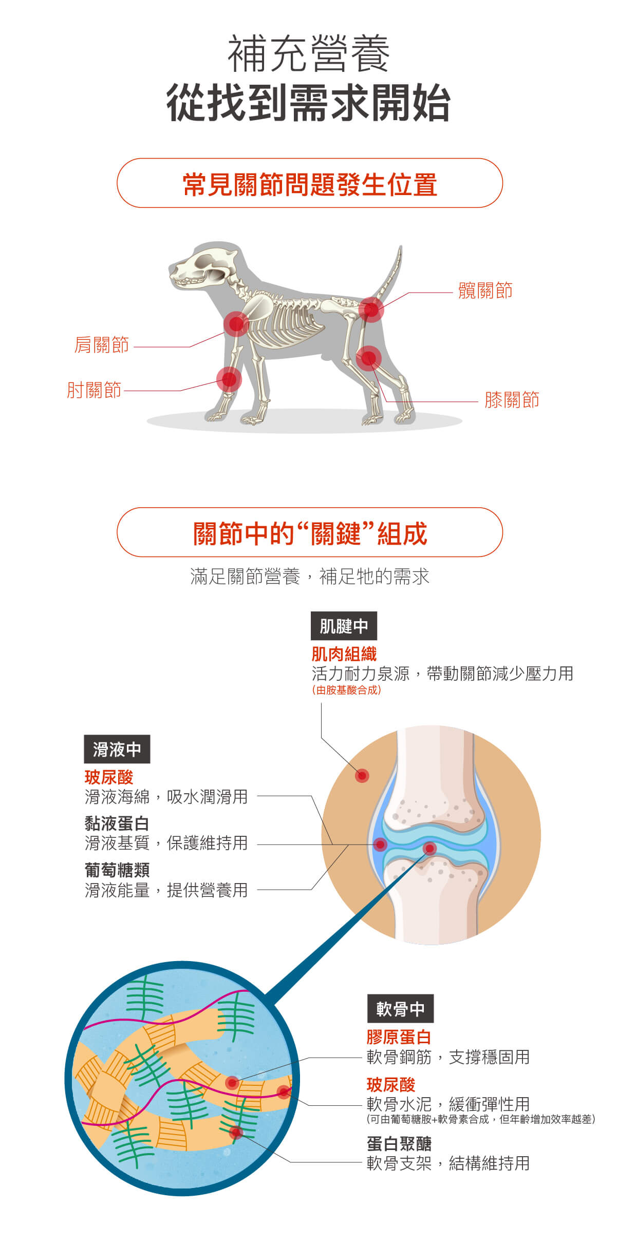 木入森狗狗有關膝